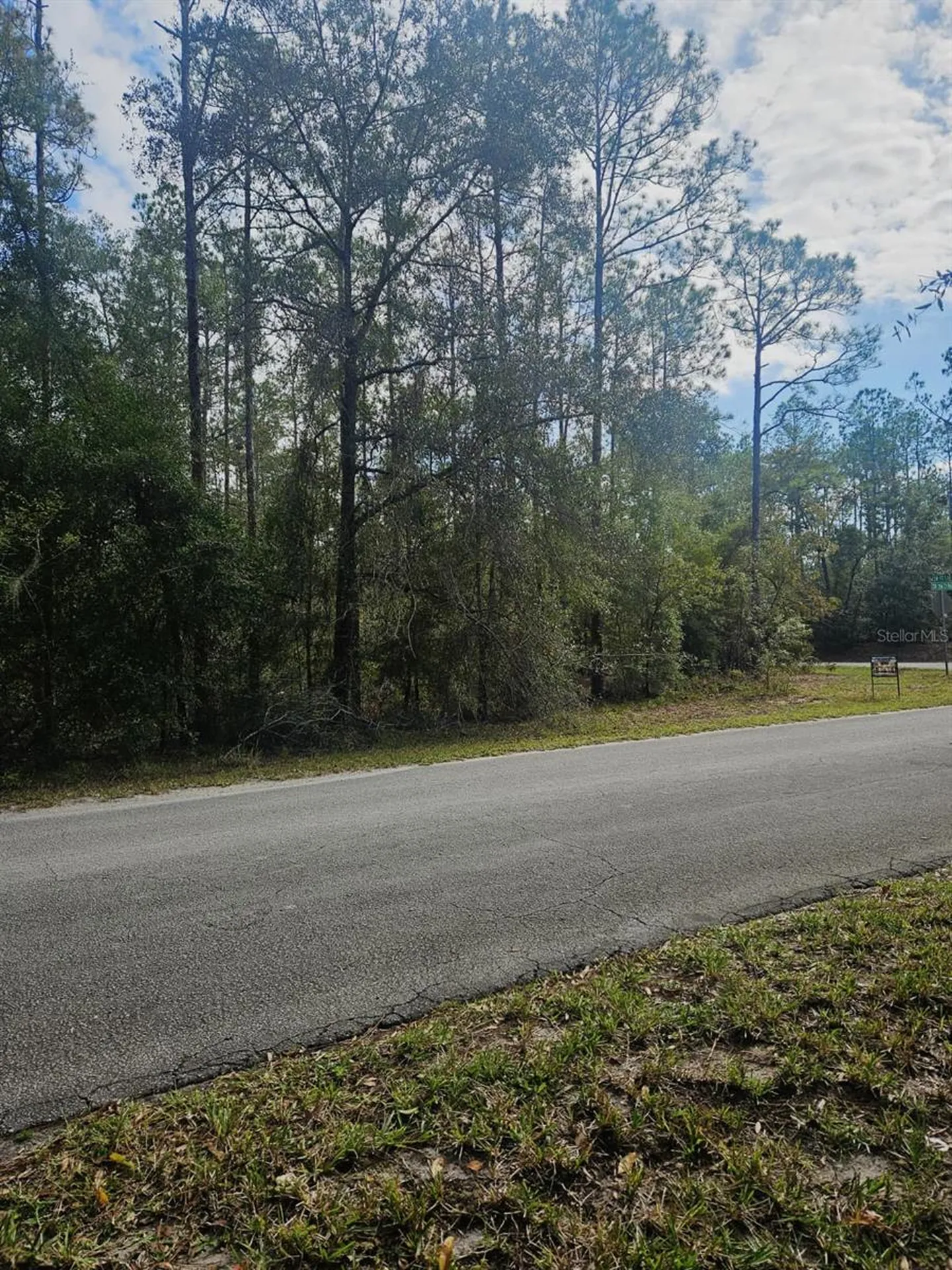 Southwest 206th Court Road Dunnellon FL 34431