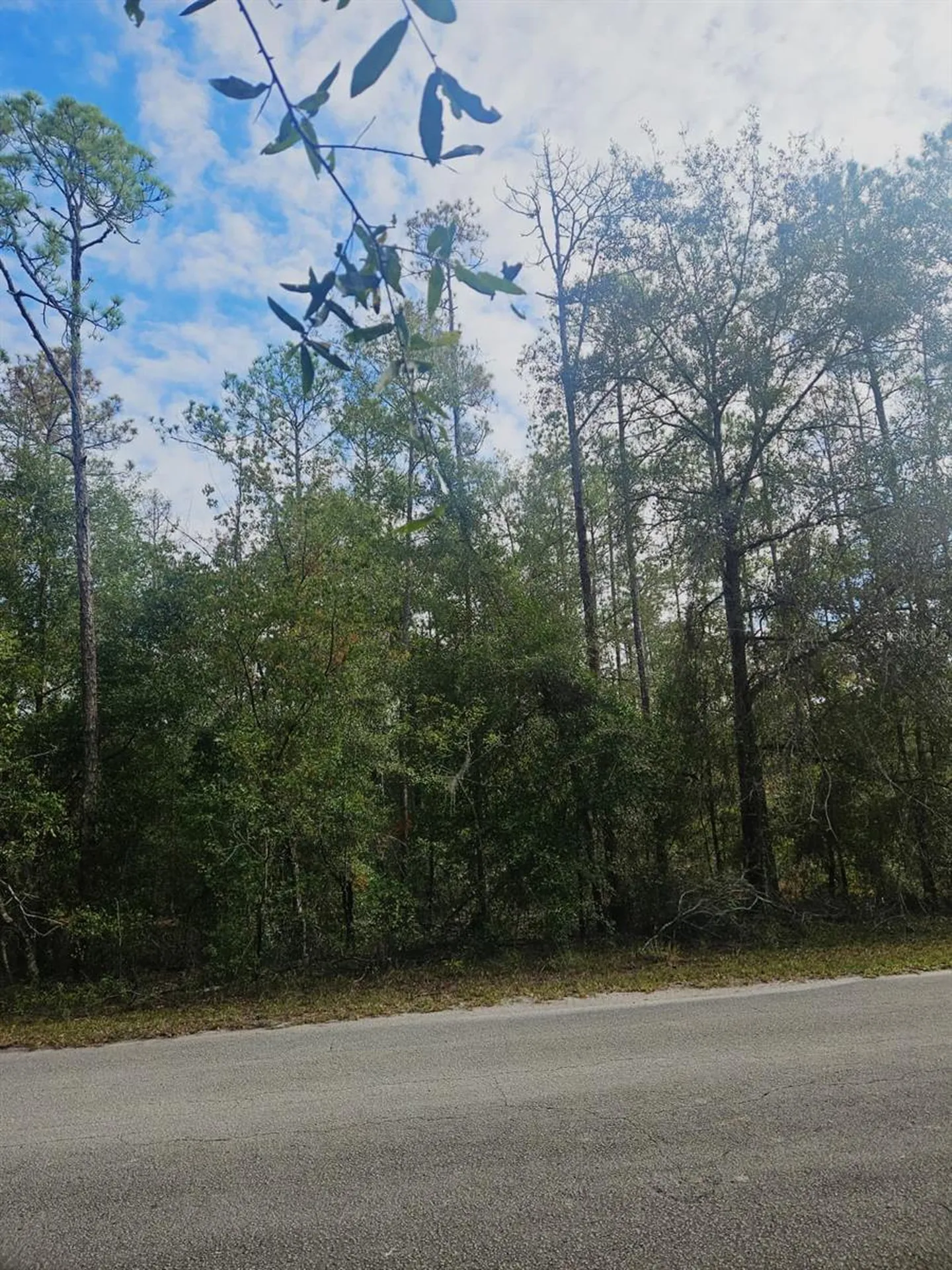 Southwest 206th Court Road Dunnellon FL 34431