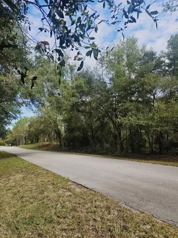 Southwest 206th Court Road Dunnellon FL 34431