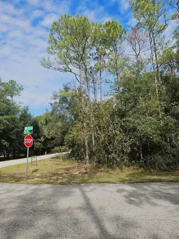 Southwest 206th Court Road Dunnellon FL 34431