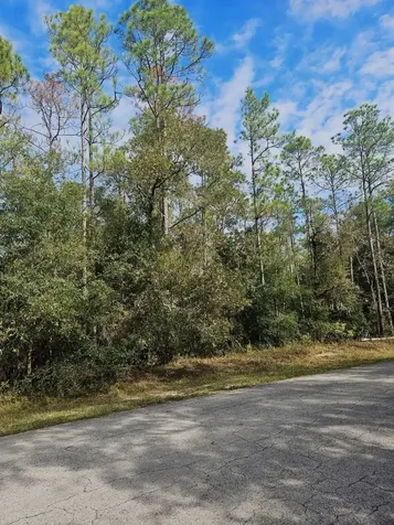 Southwest 206th Court Road Dunnellon FL 34431