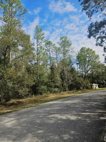 Southwest 206th Court Road Dunnellon FL 34431