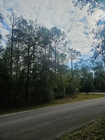 Southwest 206th Court Road Dunnellon FL 34431