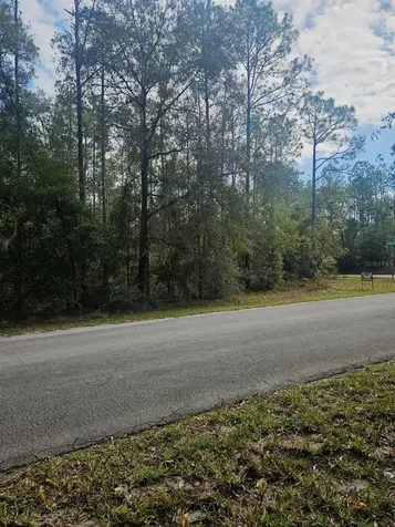 Southwest 206th Court Road Dunnellon FL 34431