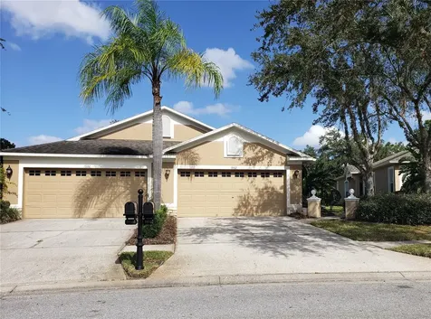 19162 Lake Audubon Drive Tampa FL 33647