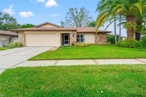 4101 Summerdale Drive Tampa FL 33624