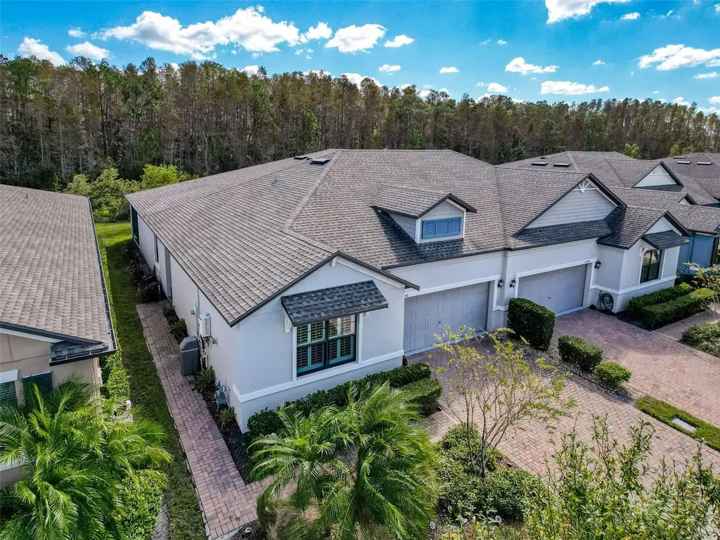 17046 Balance Cove Land O Lakes FL 34638