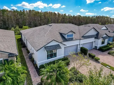 17046 Balance Cove Land O Lakes FL 34638