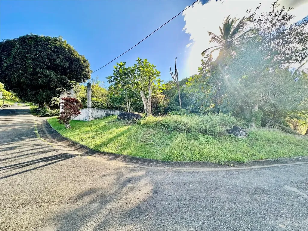 Road 185 Barrio Cedros Road 185 Barrio Cedros Carolina PR 00987