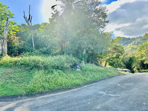 Road 185 Barrio Cedros Road 185 Barrio Cedros Carolina PR 00987
