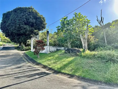 Road 185 Barrio Cedros Road 185 Barrio Cedros Carolina PR 00987