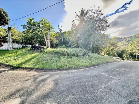 Road 185 Barrio Cedros Road 185 Barrio Cedros Carolina PR 00987