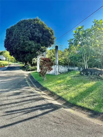 Road 185 Barrio Cedros Road 185 Barrio Cedros Carolina PR 00987
