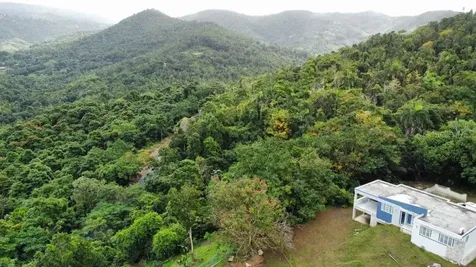 Road 185 Barrio Cedros Road 185 Barrio Cedros Carolina PR 00987