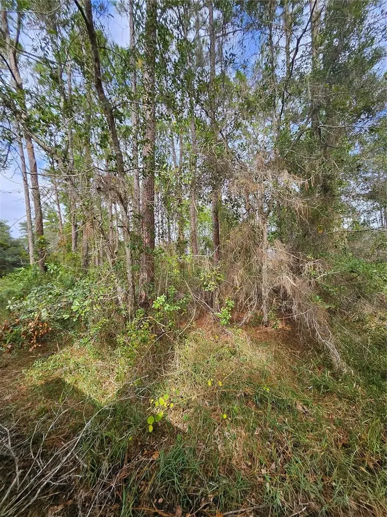 Deltona FL 32738