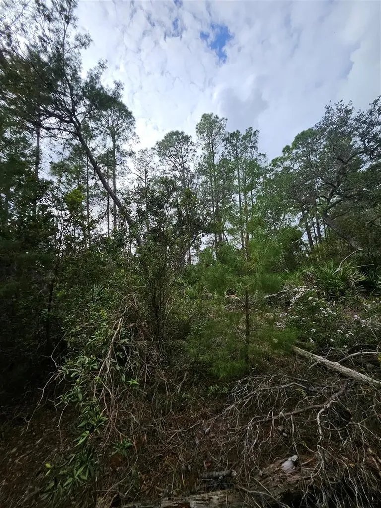 Deltona FL 32738