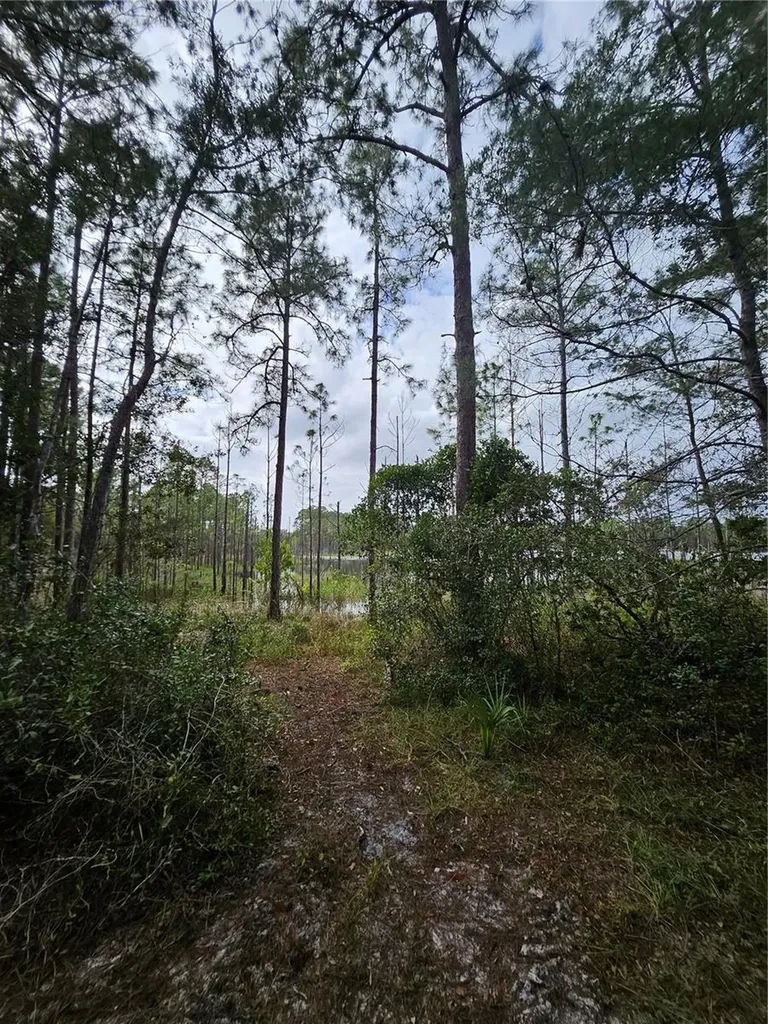 Deltona FL 32738
