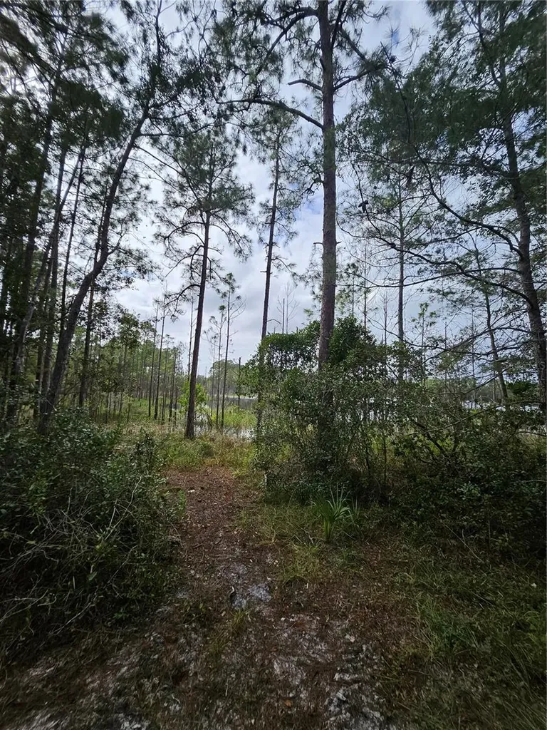 Deltona FL 32738