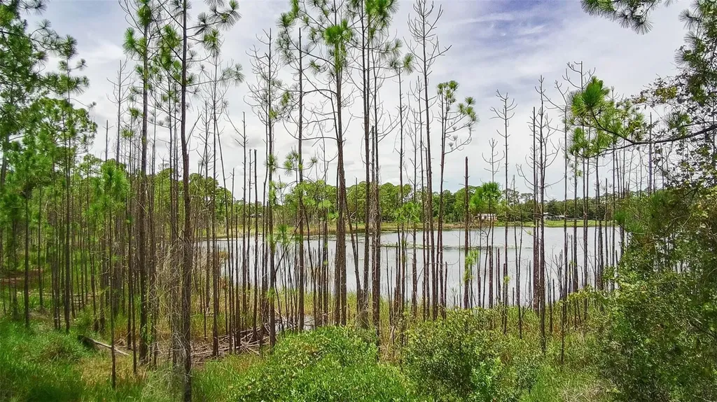 Deltona FL 32738