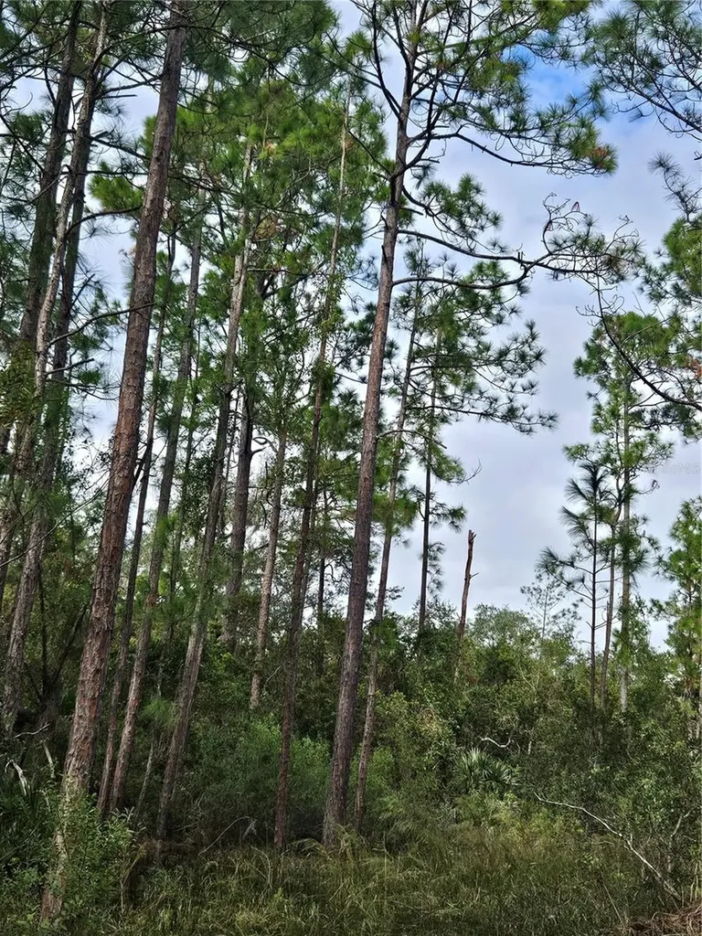 Deltona FL 32738