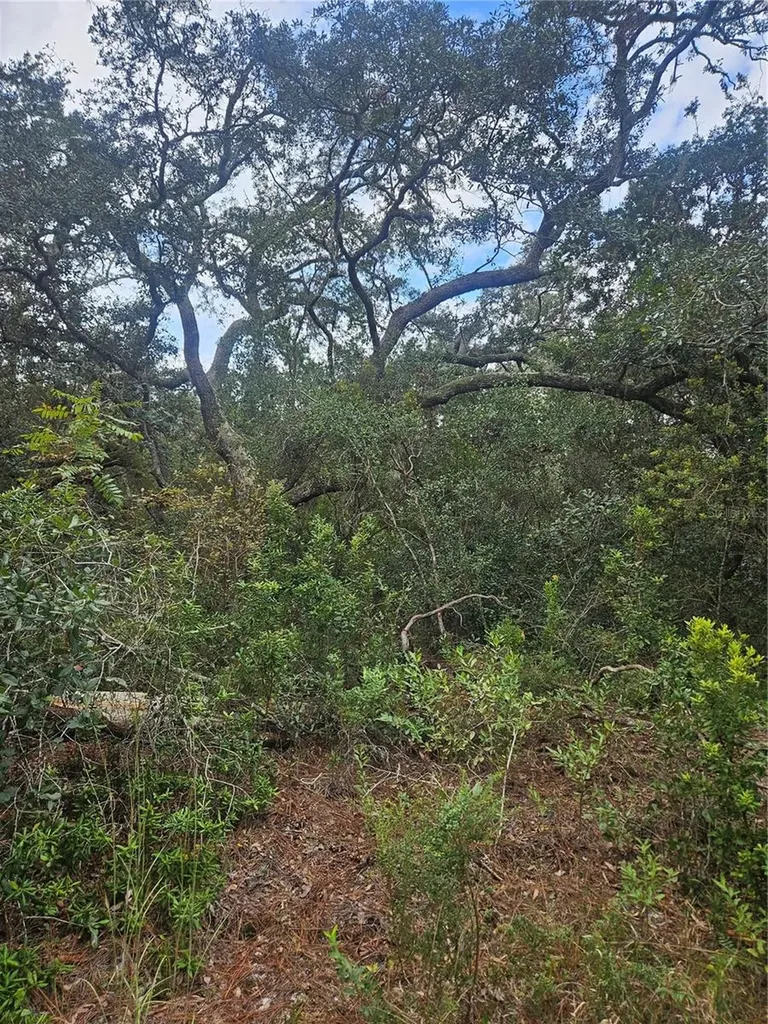 Deltona FL 32738