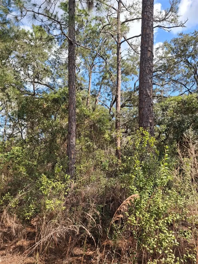 Deltona FL 32738