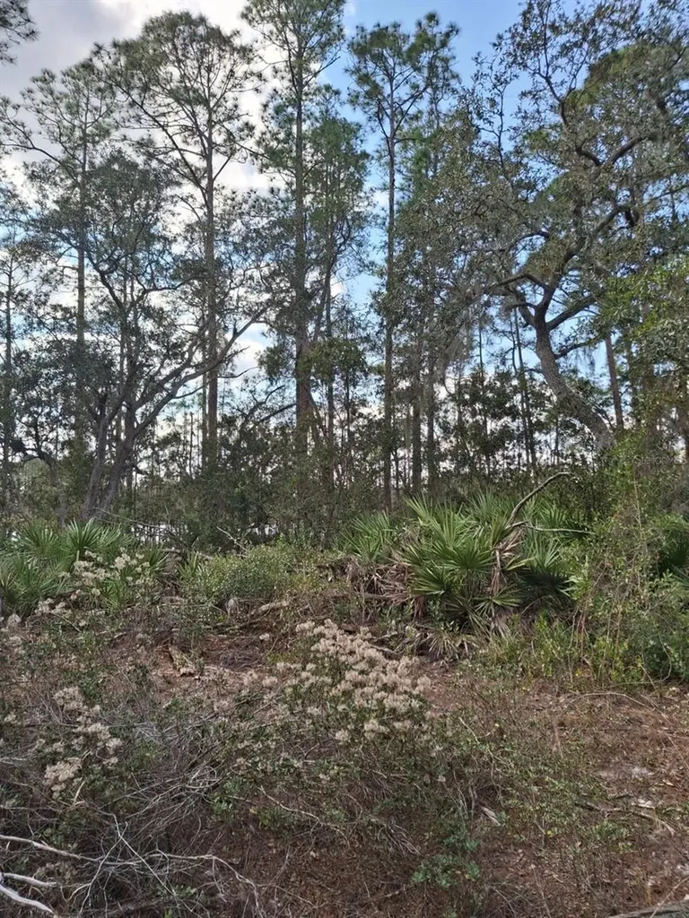 Deltona FL 32738