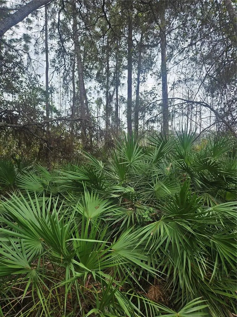 Deltona FL 32738