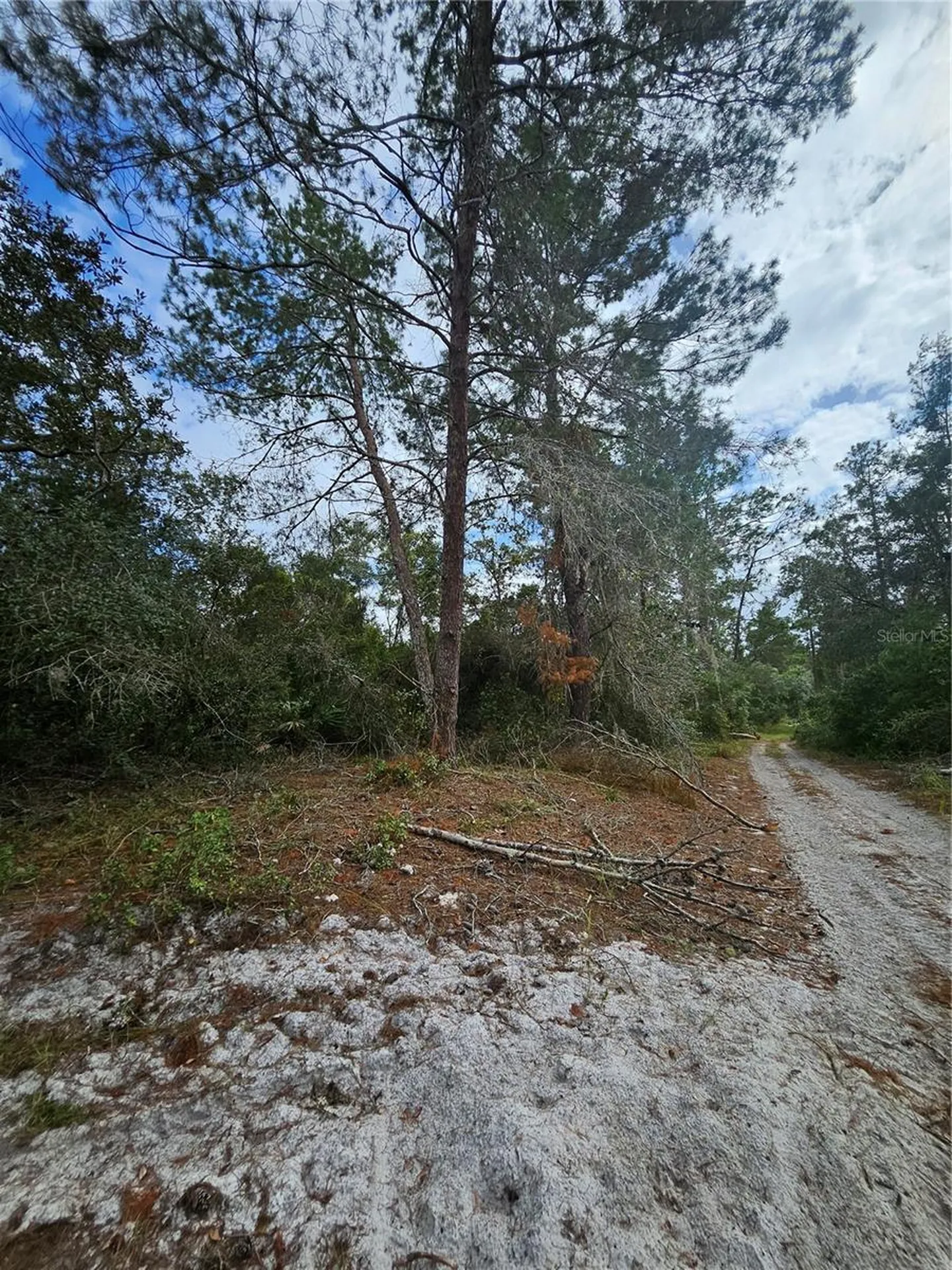 Deltona FL 32738