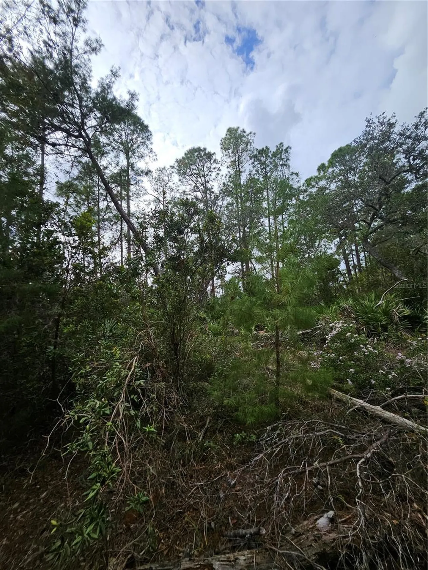 Deltona FL 32738