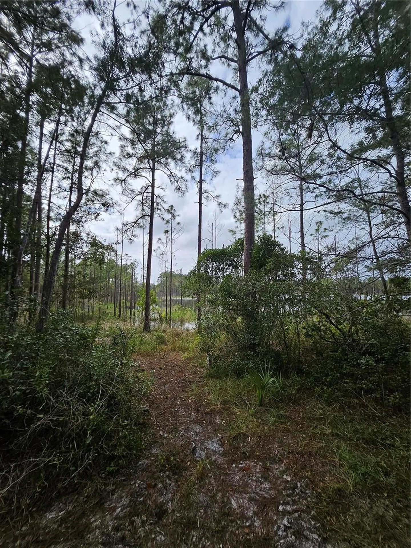 Deltona FL 32738