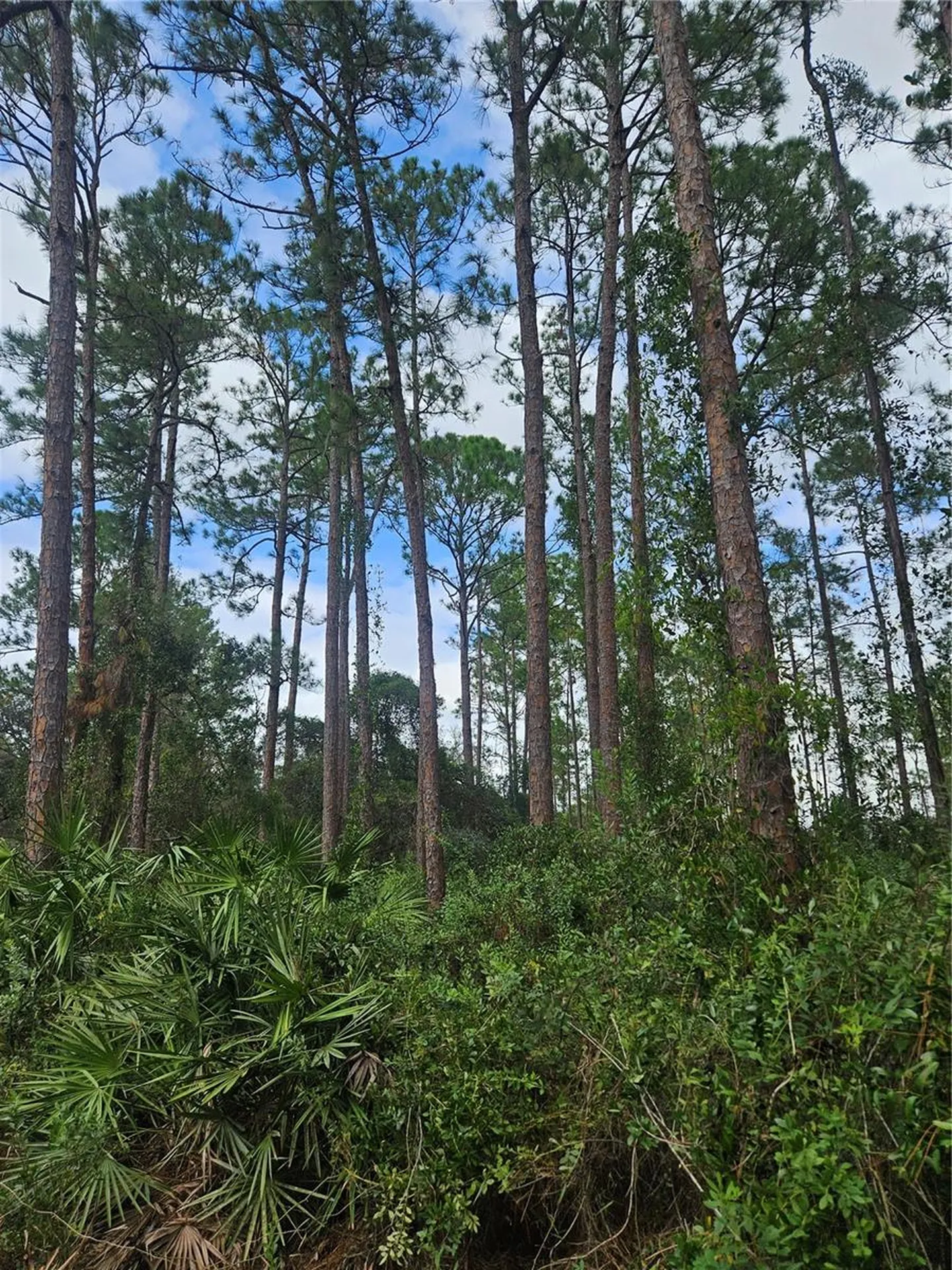 Deltona FL 32738