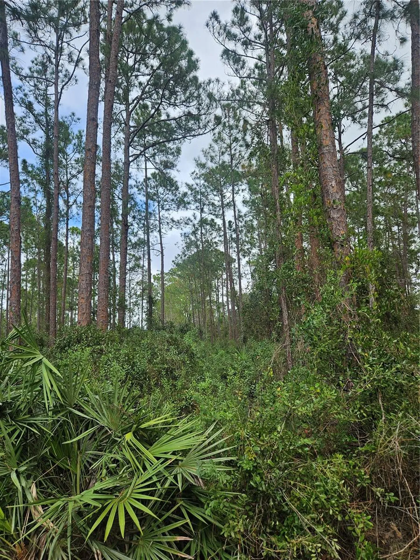 Deltona FL 32738