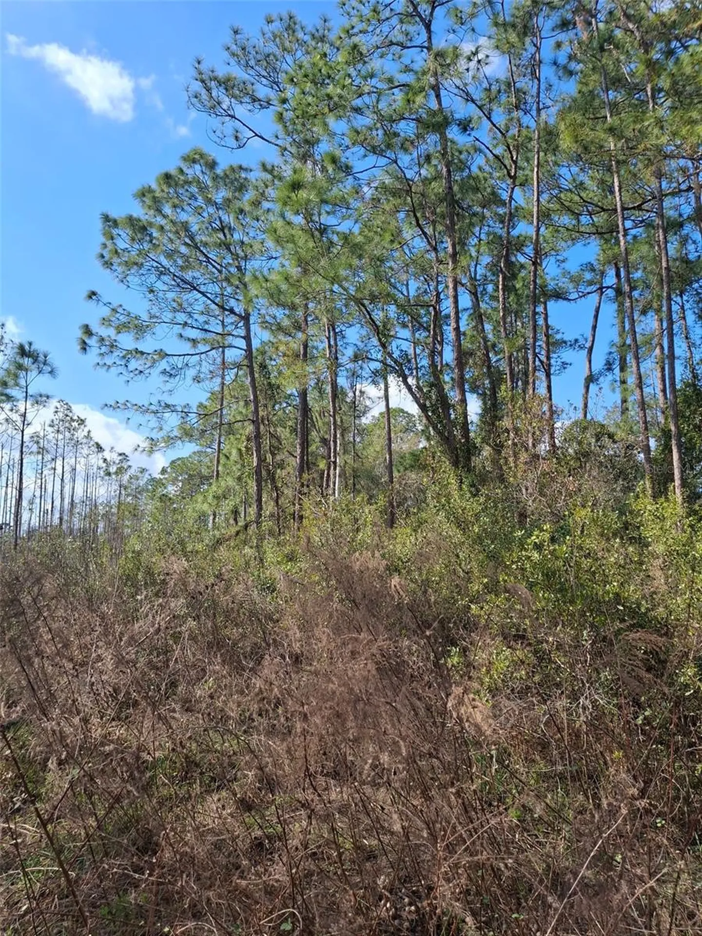 Deltona FL 32738