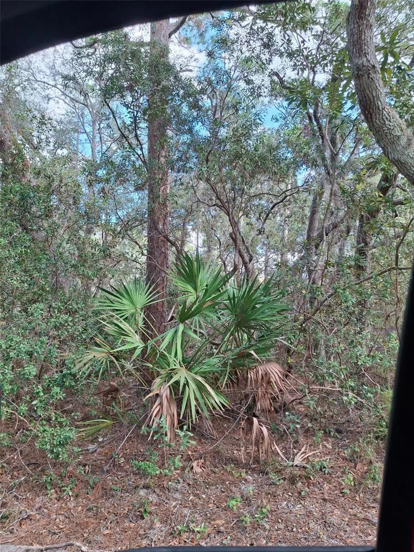 Deltona FL 32738