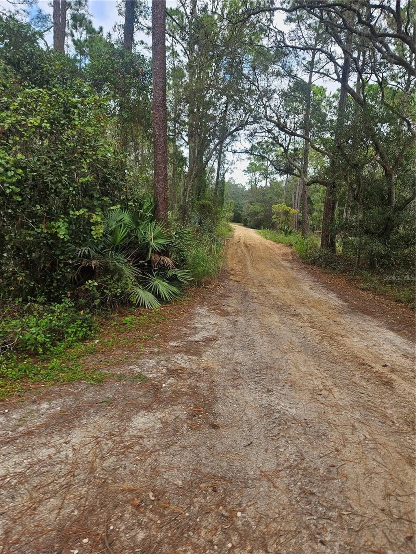 Deltona FL 32738