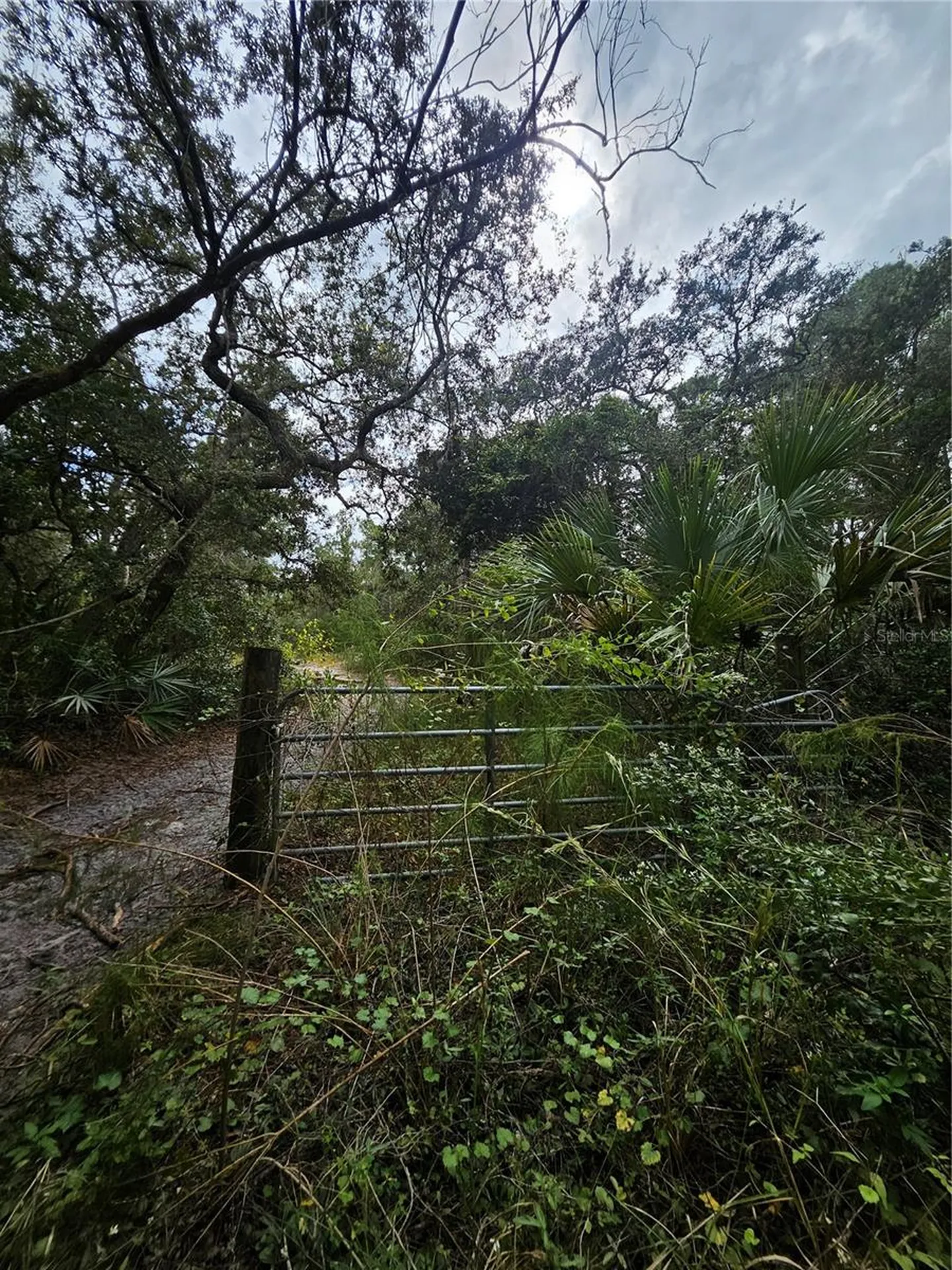 Deltona FL 32738