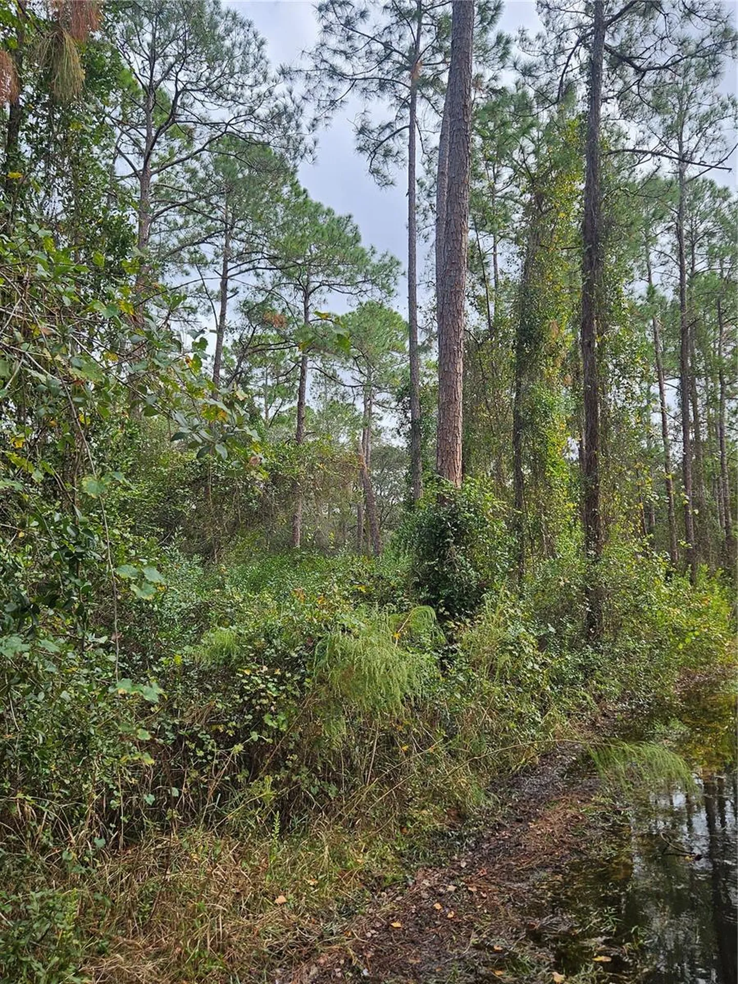 Deltona FL 32738