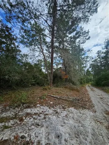 Deltona FL 32738