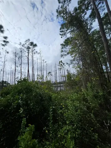 Deltona FL 32738