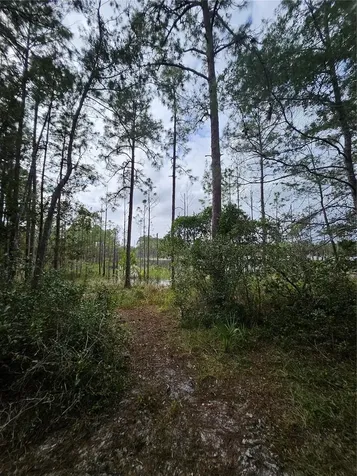 Deltona FL 32738