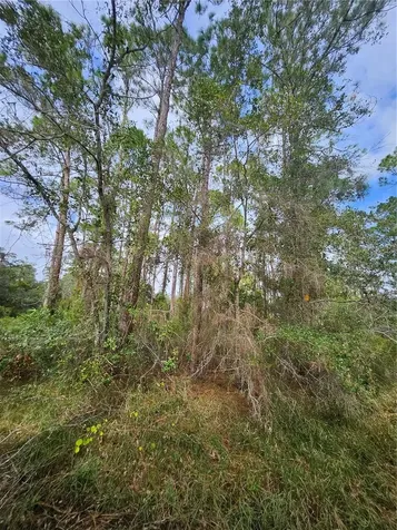 Deltona FL 32738