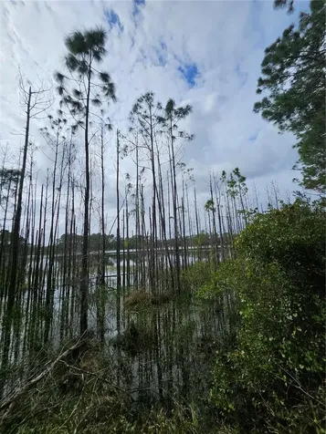 Deltona FL 32738