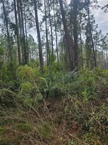 Deltona FL 32738