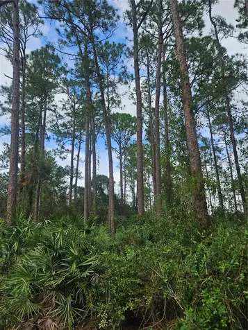 Deltona FL 32738