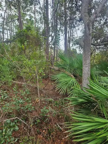 Deltona FL 32738