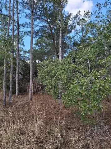 Deltona FL 32738