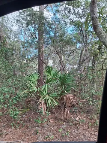 Deltona FL 32738