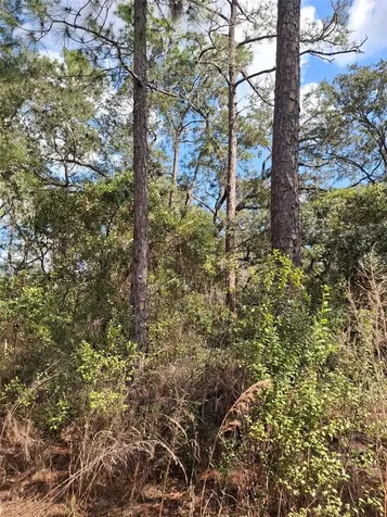 Deltona FL 32738
