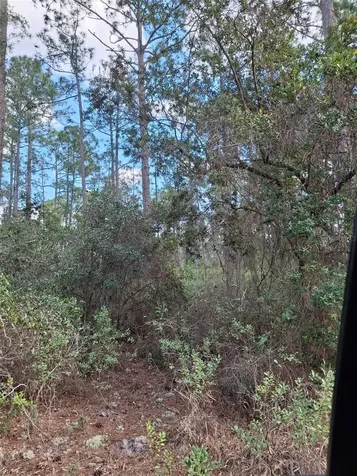 Deltona FL 32738